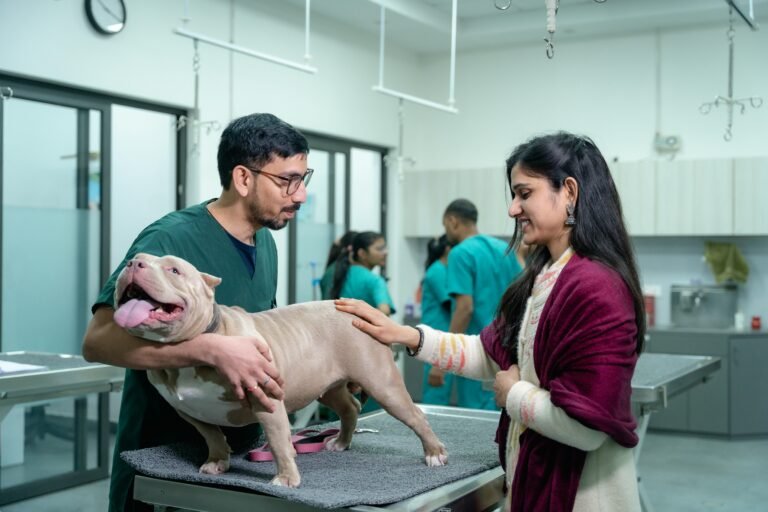 veterinaire-en-discussion-avec-un-maitre-en-presence-du-chien