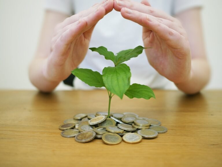 investir-dans-une-scpi-accimo-pierre-meilleur-choix