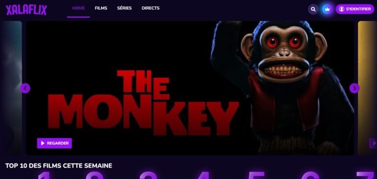 site-de-streaming-xalaflixfr