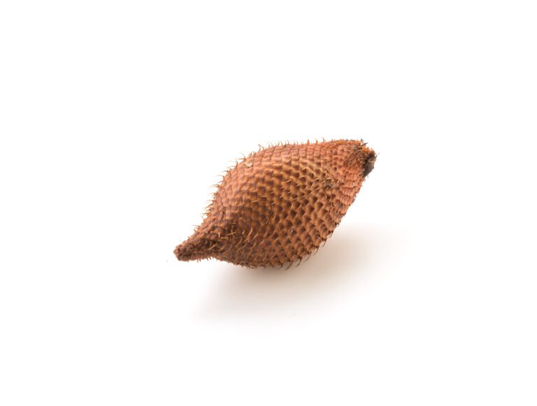 fruit-du-serpent